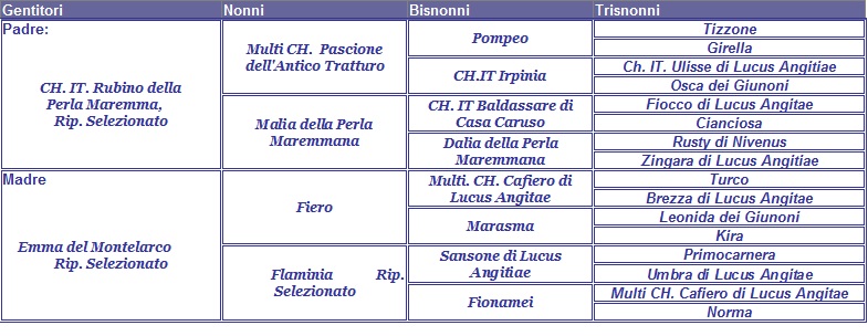 clicca per nascondere il pedigree