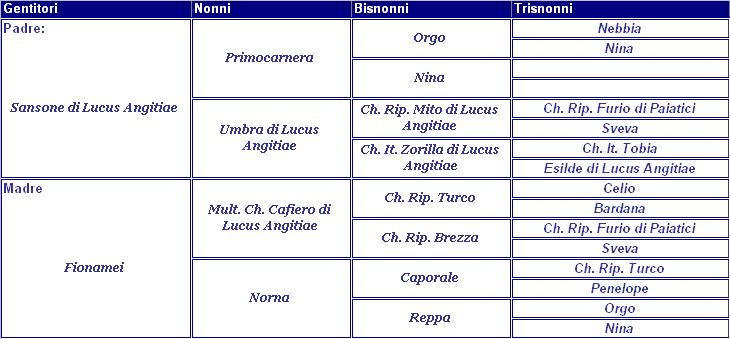 clicca per nascondere il pedigree