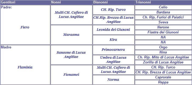 clicca per nascondere il pedigree