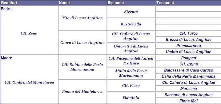 clicca per nascondere il pedigree