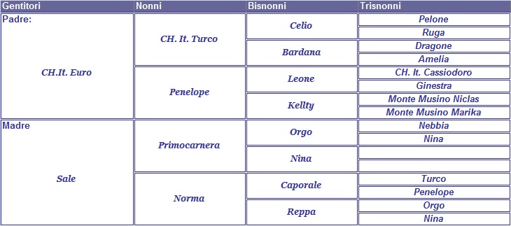 clicca per nascondere il pedigree